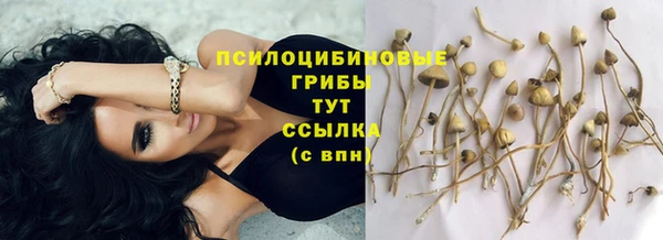меф Арсеньев